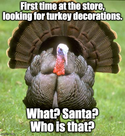 Stores in 11.1 be like | First time at the store, looking for turkey decorations. What? Santa? Who is that? | image tagged in memes,turkey,christmas,thanksgiving | made w/ Imgflip meme maker