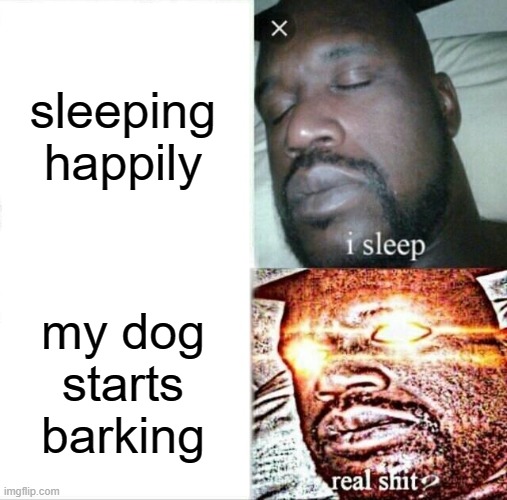 literally me | sleeping happily; my dog starts barking | image tagged in memes,sleeping shaq | made w/ Imgflip meme maker