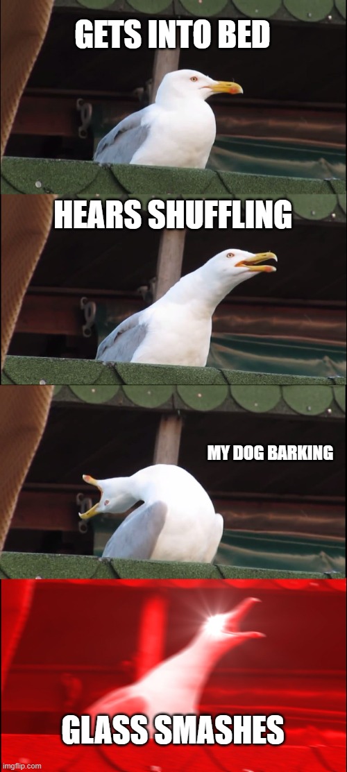 Inhaling Seagull Meme | GETS INTO BED; HEARS SHUFFLING; MY DOG BARKING; GLASS SMASHES | image tagged in memes,inhaling seagull | made w/ Imgflip meme maker