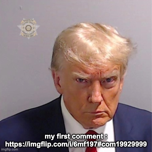 Trump mugshot | my first comment : https://imgflip.com/i/6mf197#com19929999 | image tagged in trump mugshot | made w/ Imgflip meme maker