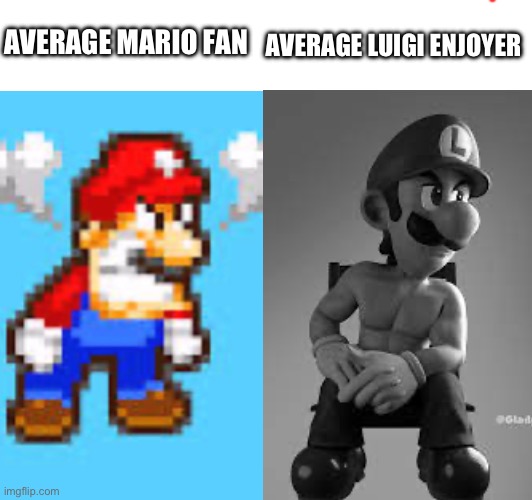 Luigi solos | AVERAGE LUIGI ENJOYER; AVERAGE MARIO FAN | made w/ Imgflip meme maker