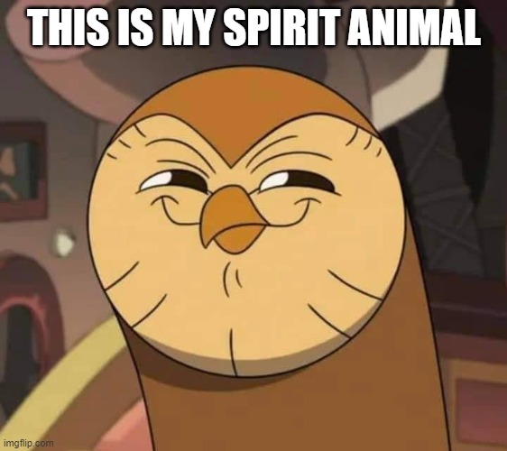 hooty = best owl tube | THIS IS MY SPIRIT ANIMAL | image tagged in hooty like,e,the owl house | made w/ Imgflip meme maker