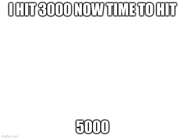 im not up vote begging just tellin u | I HIT 3000 NOW TIME TO HIT; 5000 | image tagged in blank | made w/ Imgflip meme maker
