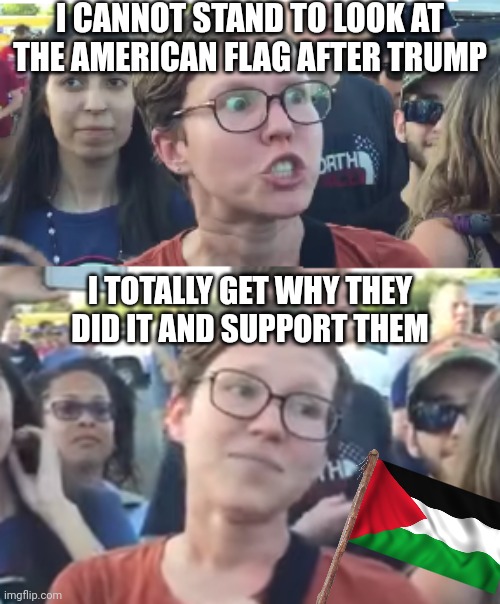 Leftists Logic | I CANNOT STAND TO LOOK AT THE AMERICAN FLAG AFTER TRUMP; I TOTALLY GET WHY THEY DID IT AND SUPPORT THEM | image tagged in two faced liberal snowflake,democrats,liberals,nazi,palestine,israel | made w/ Imgflip meme maker