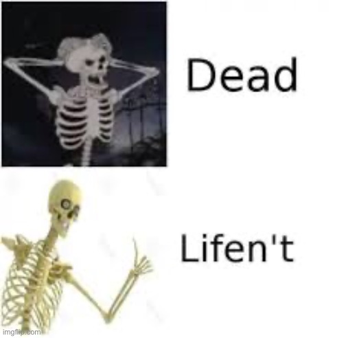 Lifen’t | image tagged in lifen t | made w/ Imgflip meme maker