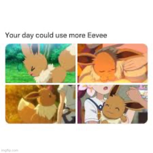 More eevee | image tagged in more eevee | made w/ Imgflip meme maker