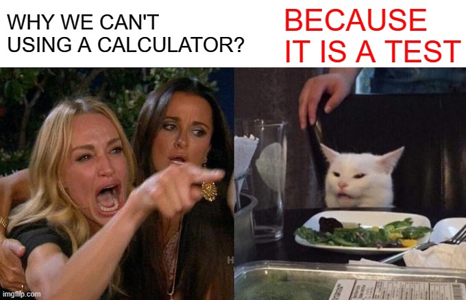 Why we can't using a calculator? | WHY WE CAN'T USING A CALCULATOR? BECAUSE IT IS A TEST | image tagged in memes,woman yelling at cat | made w/ Imgflip meme maker