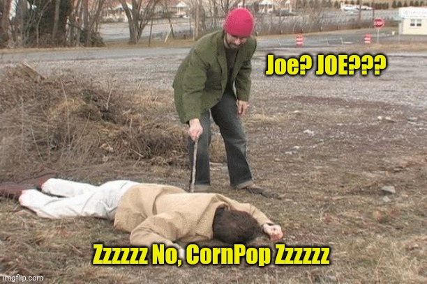Poked with a stick | Joe? JOE??? Zzzzzz No, CornPop Zzzzzz | image tagged in poked with a stick | made w/ Imgflip meme maker
