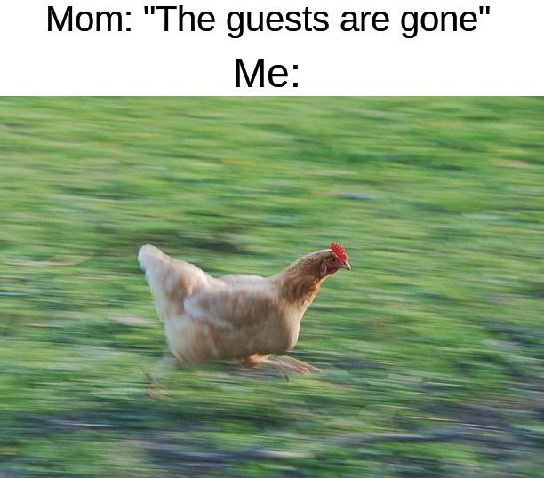 Took them long enough | Mom: "The guests are gone"; Me: | image tagged in fast running chicken,memes,funny,guests,relatable memes,funny memes | made w/ Imgflip meme maker