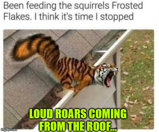 Loud roars from the roof... "They're great" | LOUD ROARS COMING FROM THE ROOF... | image tagged in eye roll,loud,roar,squirrels | made w/ Imgflip meme maker