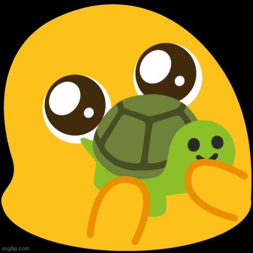 have a turtle | image tagged in i have your ip address | made w/ Imgflip meme maker