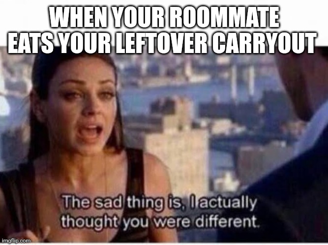 WHEN YOUR ROOMMATE EATS YOUR LEFTOVER CARRYOUT | image tagged in funny | made w/ Imgflip meme maker