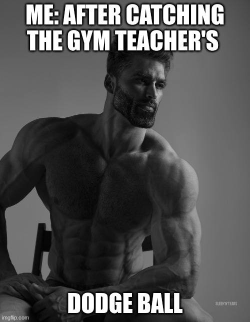 Giga Chad | ME: AFTER CATCHING THE GYM TEACHER'S; DODGE BALL | image tagged in giga chad | made w/ Imgflip meme maker