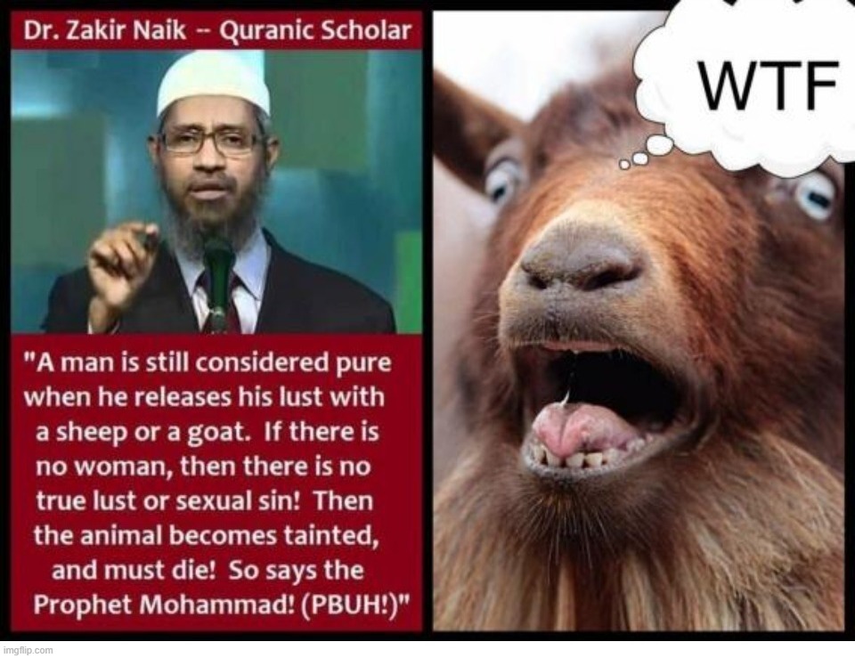 Behind Every Screaming Goat is a Muslim With His Pants Down. | image tagged in goat shaggers,goat love,bestiality,goat sex,absolutely barbaric,cavemen | made w/ Imgflip meme maker