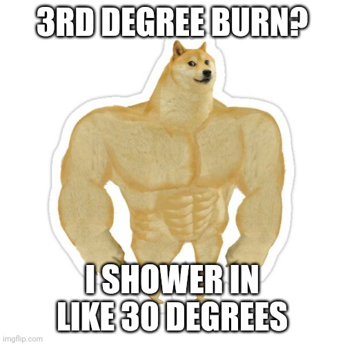 3rd degree | 3RD DEGREE BURN? I SHOWER IN LIKE 30 DEGREES | image tagged in buff doge vs cheems | made w/ Imgflip meme maker
