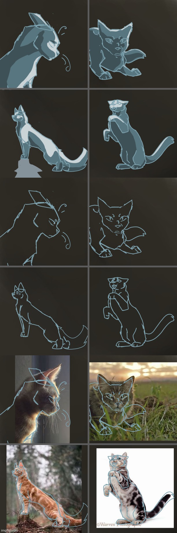 Positions Blank Meme Template