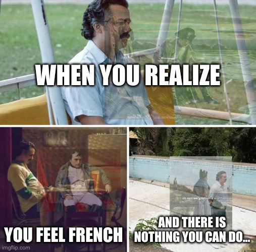 Oui, oui. | WHEN YOU REALIZE; YOU FEEL FRENCH; AND THERE IS NOTHING YOU CAN DO… | image tagged in memes,sad pablo escobar,napoleon | made w/ Imgflip meme maker