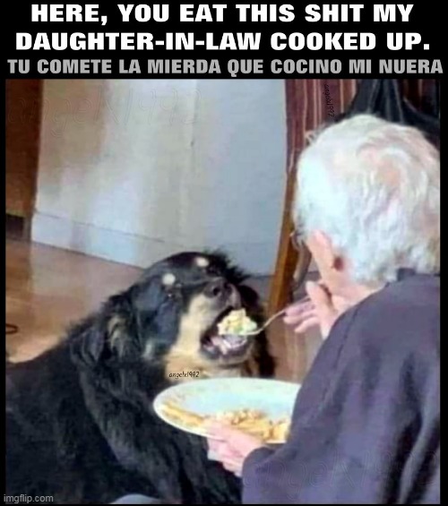 image tagged in dog,food,daughter-in-law,mother-in-law,cooking,pets | made w/ Imgflip meme maker