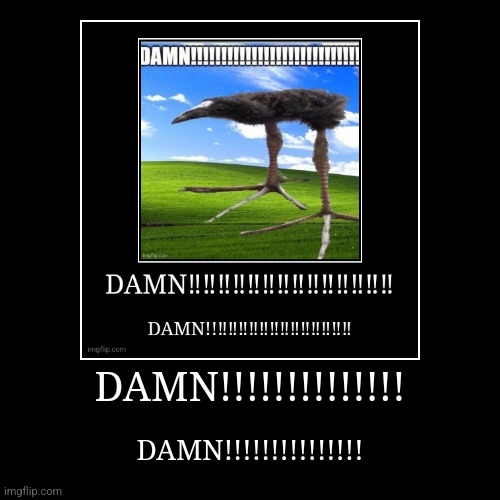 DAMN!!!!!!!!!!!!! | DAMN!!!!!!!!!!!!!! | DAMN!!!!!!!!!!!!!!! | image tagged in funny,demotivationals | made w/ Imgflip demotivational maker