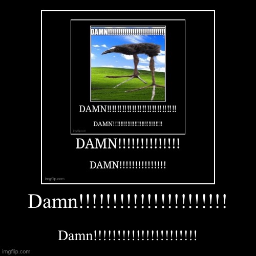 Damn!!!!!!!!!!!!!!!!!!!!!! | Damn!!!!!!!!!!!!!!!!!!!!!! | image tagged in funny,demotivationals | made w/ Imgflip demotivational maker