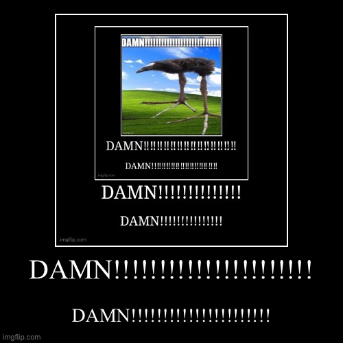 DAMN!!!!!!!!!!!!!!!!!!!!!! | DAMN!!!!!!!!!!!!!!!!!!!!!! | image tagged in funny,demotivationals | made w/ Imgflip demotivational maker