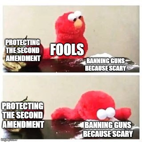 elmo cocaine | PROTECTING THE SECOND  AMENDMENT; FOOLS; BANNING GUNS BECAUSE SCARY; PROTECTING THE SECOND  AMENDMENT; BANNING GUNS BECAUSE SCARY | image tagged in elmo cocaine | made w/ Imgflip meme maker