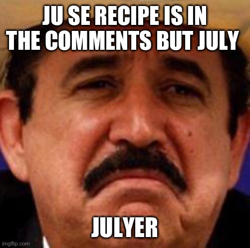 July Julyer | JU SE RECIPE IS IN THE COMMENTS BUT JULY; JULYER | image tagged in july julyer | made w/ Imgflip meme maker