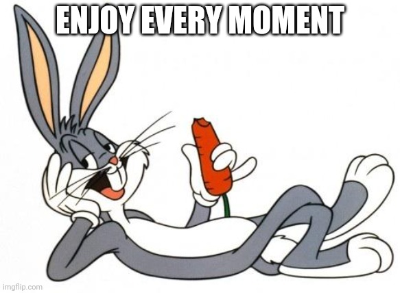 The adventure of bugs bunny | ENJOY EVERY MOMENT | image tagged in the adventure of bugs bunny | made w/ Imgflip meme maker
