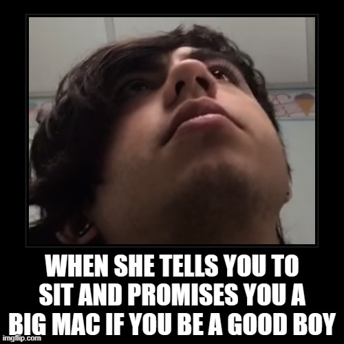 Big Mac Good Boy | WHEN SHE TELLS YOU TO SIT AND PROMISES YOU A BIG MAC IF YOU BE A GOOD BOY | | image tagged in funny,demotivationals | made w/ Imgflip demotivational maker
