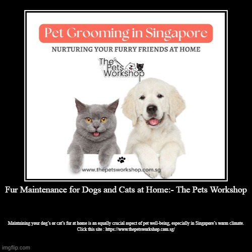Fur Maintenance for Dogs and Cats at Home The Pets Imgflip