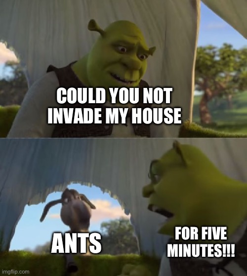 Could you not ___ for 5 MINUTES | COULD YOU NOT INVADE MY HOUSE; ANTS; FOR FIVE MINUTES!!! | image tagged in could you not ___ for 5 minutes,ant | made w/ Imgflip meme maker