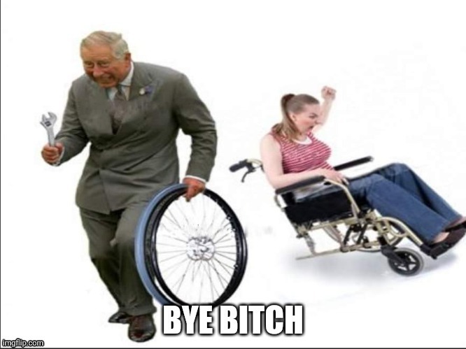 Bye bitch | image tagged in bye bitch | made w/ Imgflip meme maker