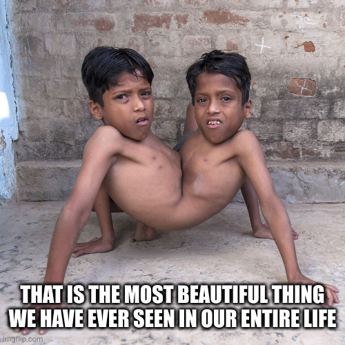 Beautiful Indian Twins | THAT IS THE MOST BEAUTIFUL THING WE HAVE EVER SEEN IN OUR ENTIRE LIFE | image tagged in beautiful indian twins | made w/ Imgflip meme maker