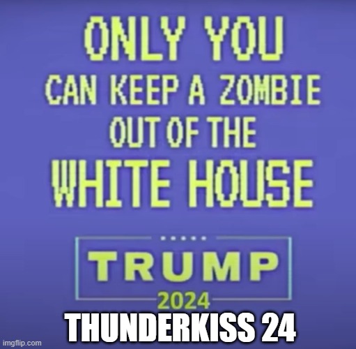 Rob Zimbobby | THUNDERKISS 24 | image tagged in donald trump,trump,zombies,zombie,dementia,joe biden | made w/ Imgflip meme maker