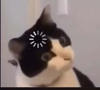 High Quality cat loading Blank Meme Template