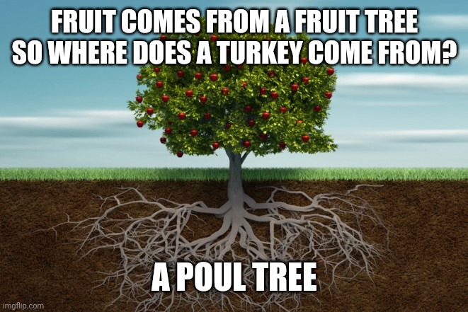 fruit tree | FRUIT COMES FROM A FRUIT TREE SO WHERE DOES A TURKEY COME FROM? A POUL TREE | image tagged in fruit tree | made w/ Imgflip meme maker