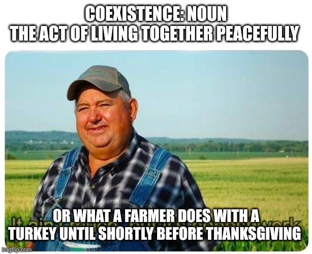 Honest work | COEXISTENCE: NOUN
THE ACT OF LIVING TOGETHER PEACEFULLY; OR WHAT A FARMER DOES WITH A TURKEY UNTIL SHORTLY BEFORE THANKSGIVING | image tagged in honest work | made w/ Imgflip meme maker