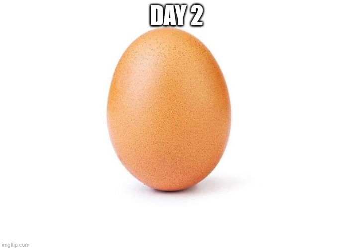 Eggbert | DAY 2 | image tagged in eggbert | made w/ Imgflip meme maker