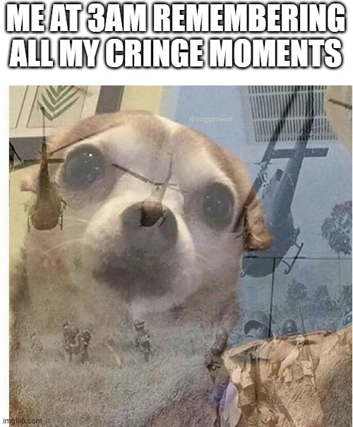 oh no | ME AT 3AM REMEMBERING ALL MY CRINGE MOMENTS | image tagged in ptsd chihuahua | made w/ Imgflip meme maker