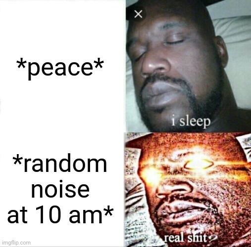 How it feels to sleep | *peace*; *random noise at 10 am* | image tagged in memes,sleeping shaq | made w/ Imgflip meme maker