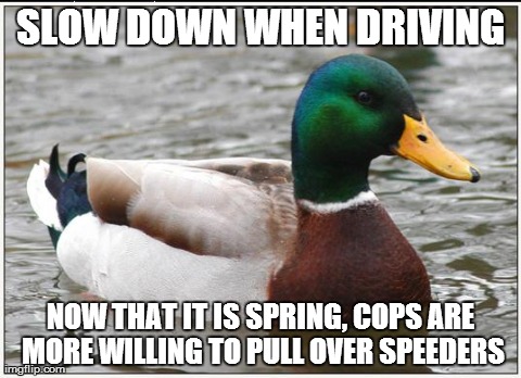 Actual Advice Mallard Meme | SLOW DOWN WHEN DRIVING NOW THAT IT IS SPRING, COPS ARE MORE WILLING TO PULL OVER SPEEDERS | image tagged in memes,actual advice mallard,AdviceAnimals | made w/ Imgflip meme maker