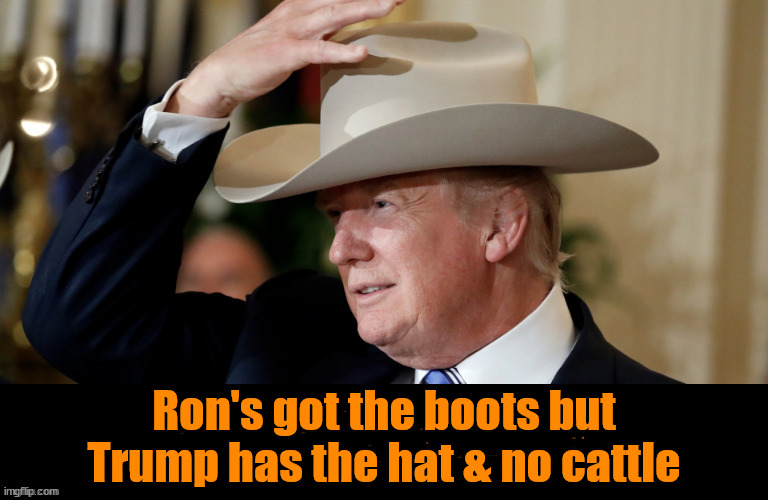 No cattle but loads of sheep | Ron's got the boots but Trump has the hat & no cattle | image tagged in donald trump,ron desantis,maga,drugstore cowboy,cowboy boots,cowboy hat | made w/ Imgflip meme maker