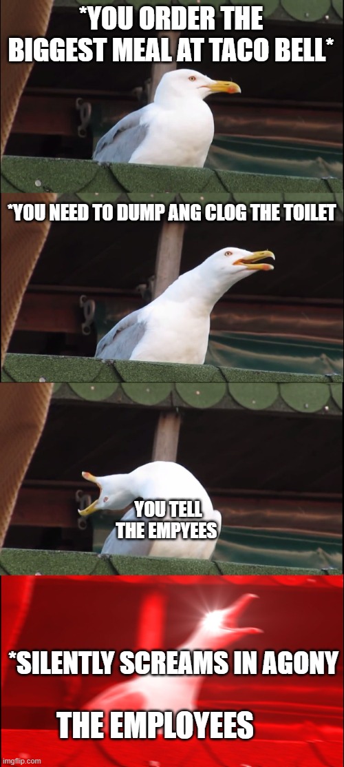 taco bell be like | *YOU ORDER THE BIGGEST MEAL AT TACO BELL*; *YOU NEED TO DUMP ANG CLOG THE TOILET; YOU TELL THE EMPYEES; *SILENTLY SCREAMS IN AGONY; THE EMPLOYEES | image tagged in memes,inhaling seagull | made w/ Imgflip meme maker