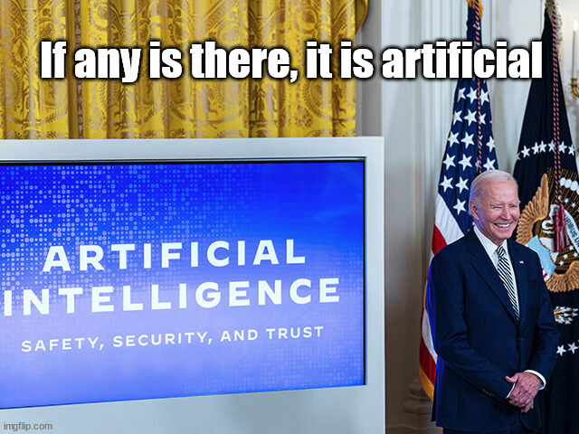 If any is there, it is artificial | image tagged in joe biden,artificial intelligence,oxymoron | made w/ Imgflip meme maker