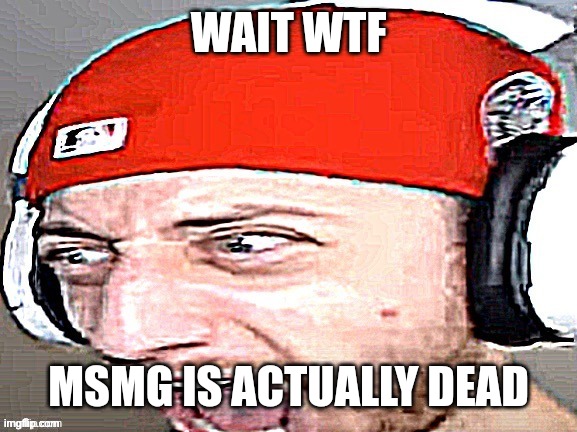 these posts are 5 HOURS AGO | WAIT WTF; MSMG IS ACTUALLY DEAD | image tagged in aaaaaaaaaaaaaaaaaaaaaaaaaaaaaaaaa | made w/ Imgflip meme maker