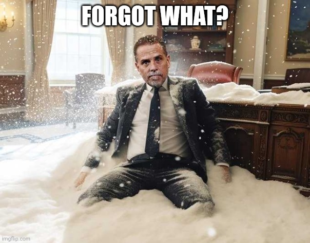 Hunter Biden | FORGOT WHAT? | image tagged in hunter biden | made w/ Imgflip meme maker