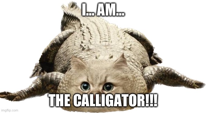 Calligator | I… AM…; THE CALLIGATOR!!! | image tagged in calligator | made w/ Imgflip meme maker