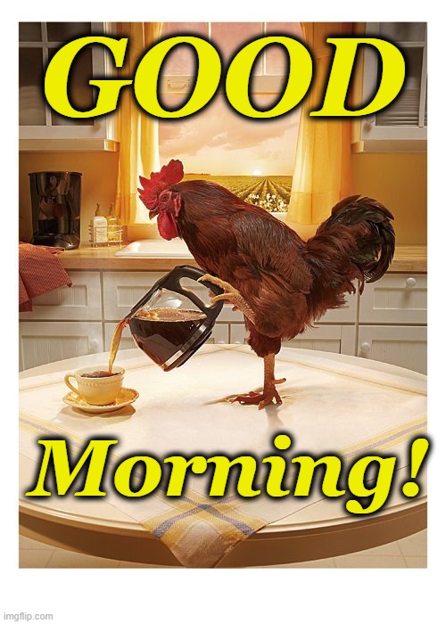 morning coffee | GOOD; Morning! | image tagged in good morning,rooster,wake up,coffee | made w/ Imgflip meme maker