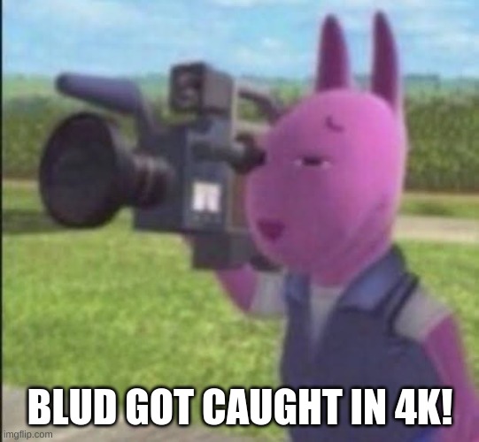 Caught in 4k | BLUD GOT CAUGHT IN 4K! | image tagged in caught in 4k | made w/ Imgflip meme maker