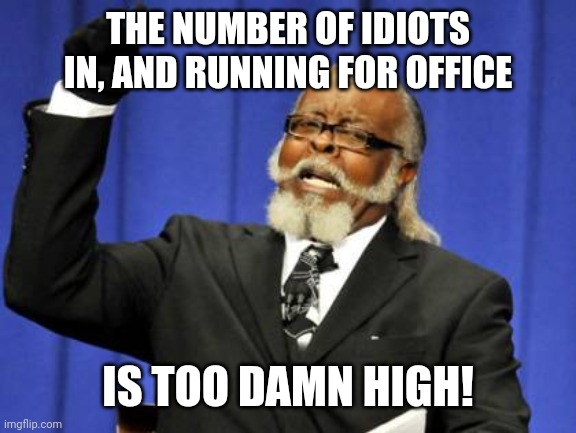 Ugh! | THE NUMBER OF IDIOTS IN, AND RUNNING FOR OFFICE; IS TOO DAMN HIGH! | image tagged in memes,too damn high,politics,idjits | made w/ Imgflip meme maker